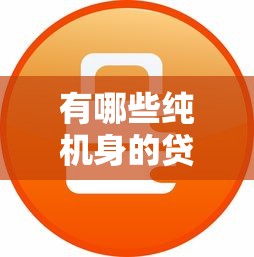 有哪些纯机身的贷款口子？实测5家无抵押平台