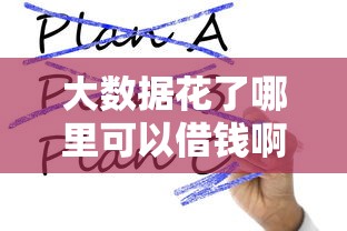 大数据花了哪里可以借钱啊2025？这几个平台还能用！