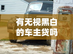 有无视黑白的车主贷吗？这些平台或许能帮你解燃眉之急