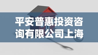 平安普惠投资咨询有限公司上海贷款方案怎么样？专业顾问解答流程