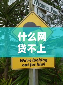 不用刷脸的网贷口子有哪些？这5个平台审核快、门槛低