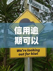 2025年如何找到借钱平台呢微信,试试这5个摆脱欠款束缚贷款新app