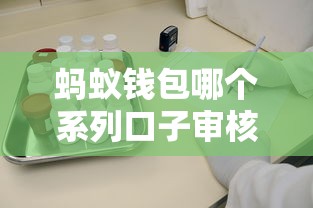 大王钱柜在哪个口子靠谱？最新入口整理及申请避坑指南