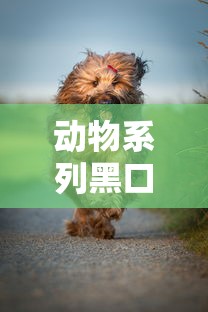 动物系列黑口子：这几个平台门槛低放款快靠谱吗？