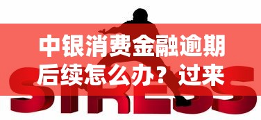 2025年月系口子秒拒，罗列5个综合评分不足可以在平台借到钱