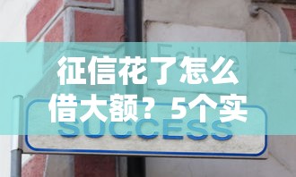 征信花了怎么借大额？5个实用技巧+靠谱平台实测分享