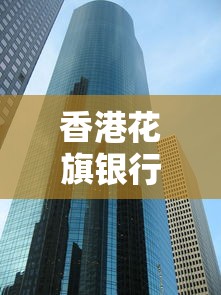 香港花旗银行不看征信吗？真实贷款条件大揭秘