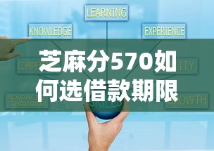 芝麻分570如何选借款期限？这几点帮你少走弯路