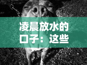 凌晨放水的口子：这些细节你知道吗？