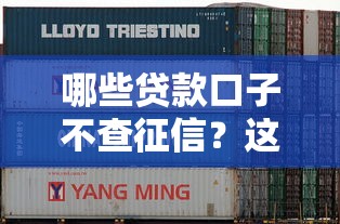 哪些贷款口子不查征信？这5个平台或许能帮到你！