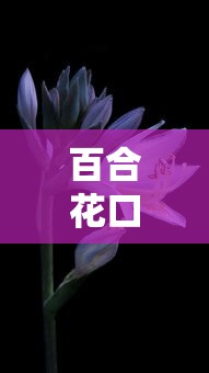 什么口子好下款2万？试试这几个平台（附真实体验分享）