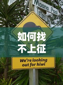 如何找不上征信的贷款？这3个方法靠谱吗