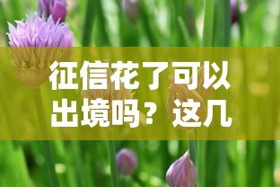 良心口子利息低有哪些？这6个正规渠道亲测靠谱