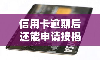 信用卡逾期后还能申请按揭购车吗？真实情况揭秘