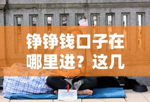 铮铮钱口子在哪里进？这几个正规平台别错过