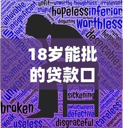 18岁能批的贷款口子，有没有适合学生党的正规平台？
