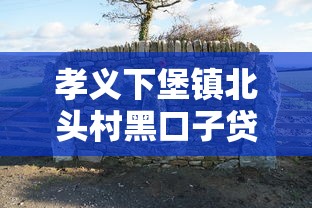 孝义下堡镇北头村黑口子贷款怎么选？3个低息方案测评