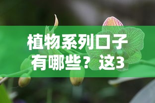 植物系列口子有哪些？这3类产品最值得关注