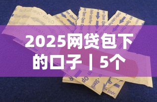 2025网贷包下的口子｜5个容易下款的平台实测