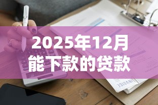 2025年12月能下款的贷款渠道分析！资质要求全解读