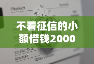 不看征信的小额借钱2000元必下款吗？真实情况解析