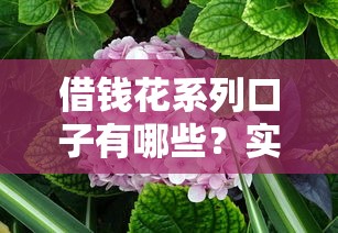 什么贷款好下卡啊？这5种类型通过率高，新手也能轻松申请