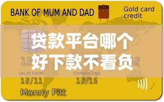 贷款平台哪个好下款不看负债？亲测这三个渠道通过率高