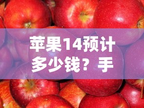 苹果14预计多少钱？手头紧也能入手的分期方案盘点