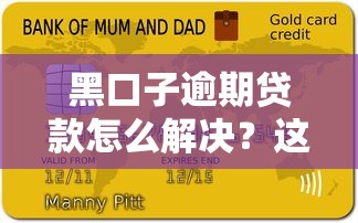 黑口子逾期贷款怎么解决？这些方法你可能不知道！