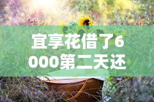 宜享花借了6000第二天还多少？利息这样算