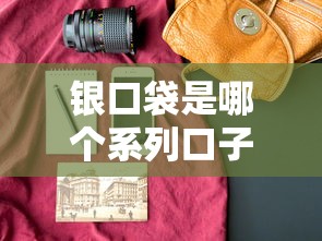 银口袋是哪个系列口子？揭秘这个贷款产品的真实背景