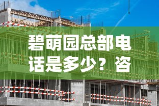 碧萌园总部电话是多少？咨询贷款业务前必知的3个重点