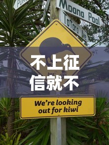 不上征信就不用还款吗？3个真相让你彻底清醒