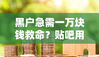 黑户急需一万块钱救命？贴吧用户分享3个救命方案