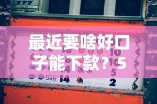 最近要啥好口子能下款？5个正规平台真实测评