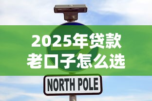 2025年贷款老口子怎么选？这3个最新攻略先收好