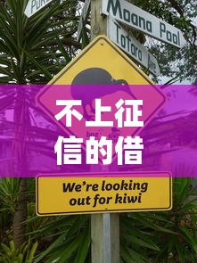 不上征信的借款平台有哪些？5个渠道深度解析
