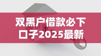 双黑户借款必下口子2025最新实测攻略