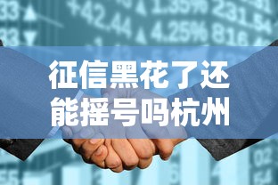 征信黑花了还能摇号吗杭州？真实案例分析+贷款攻略分享