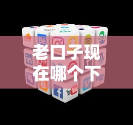 老口子现在哪个下款稳？实测5个靠谱平台