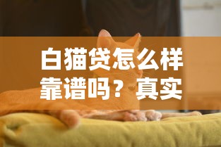 白猫贷怎么样靠谱吗？真实测评+避坑指南，看完再决定！