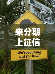 来分期上征信不上怎么办？3招教你正确处理