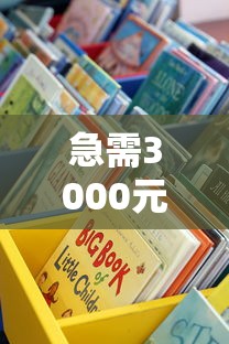 急需3000元哪里可以借？手把手教你选正规渠道