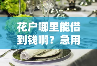 花户哪里能借到钱啊？急用6万块钱这些渠道可以试试！