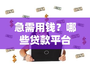 急需用钱？哪些贷款平台审核快还正规靠谱