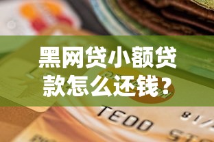 黑网贷小额贷款怎么还钱？协商分期+法律处理方案