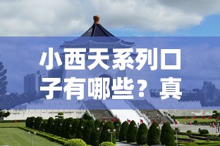 小西天系列口子有哪些？真实体验后总结5个关键点