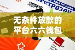 无条件放款的平台六六钱包真实评测：额度高下款快？这些细节要注意