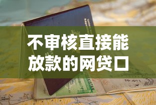不审核直接能放款的网贷口子现状分析与申请指南