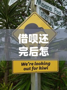 借呗还完后怎么不上征信？这几点一定要注意